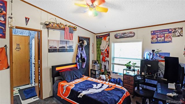 76 S Pine Drive, Bailey, CO 80421