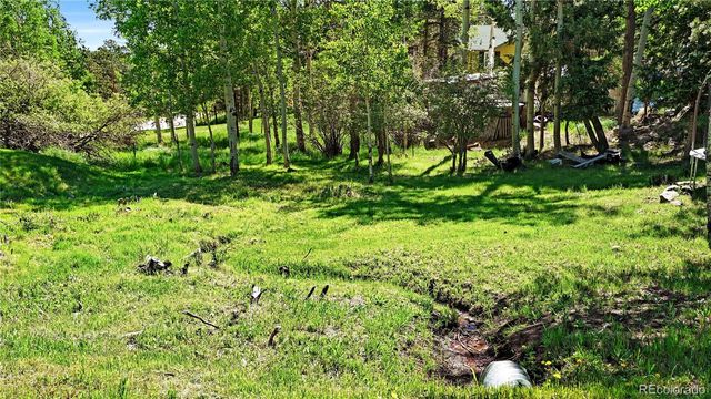 76 S Pine Drive, Bailey, CO 80421