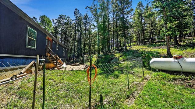 76 S Pine Drive, Bailey, CO 80421