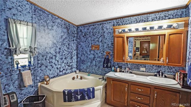 76 S Pine Drive, Bailey, CO 80421