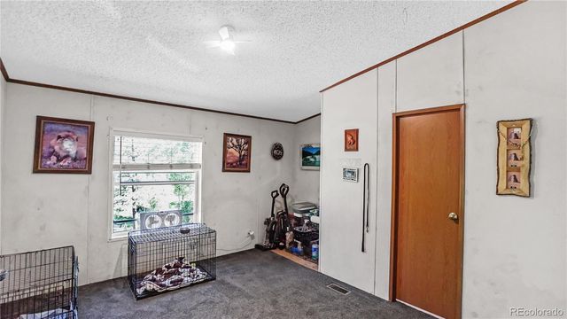 76 S Pine Drive, Bailey, CO 80421