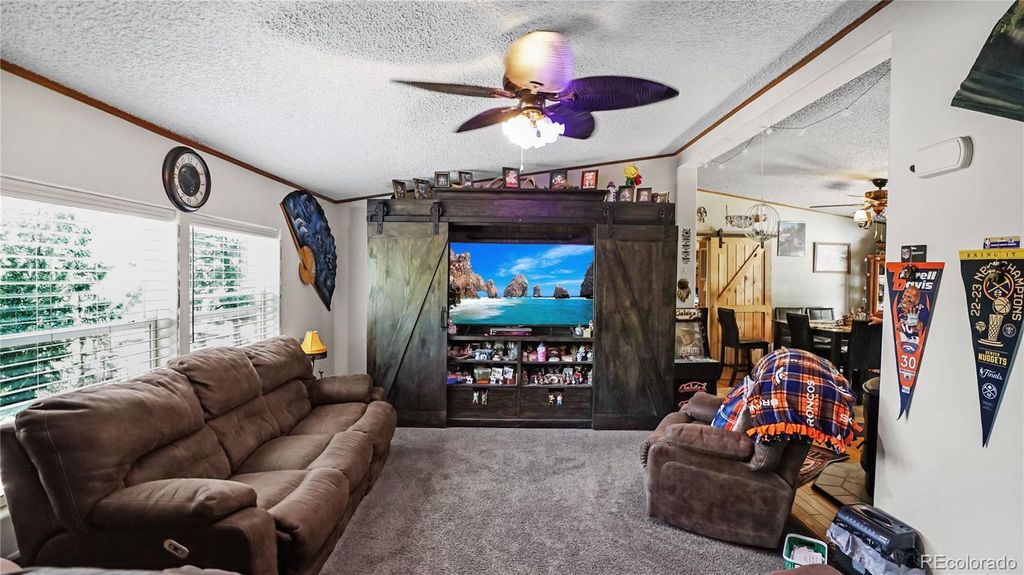 76 S Pine Drive, Bailey, CO 80421
