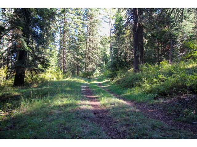 84745 BESKE Ln, Joseph, OR 97846