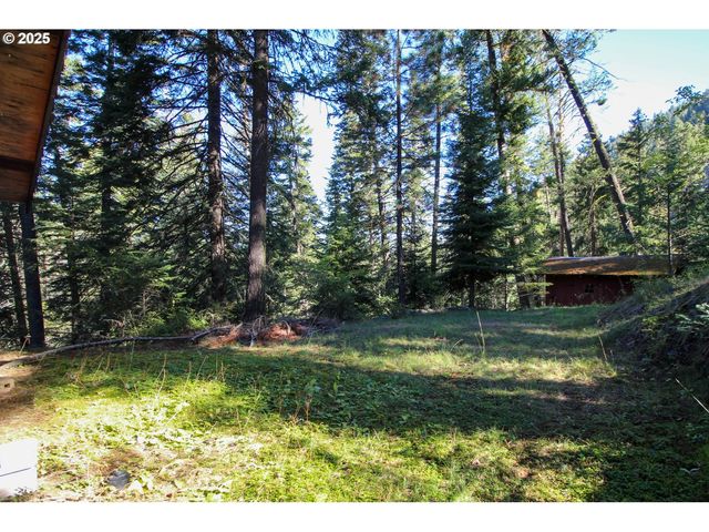 84745 BESKE Ln, Joseph, OR 97846