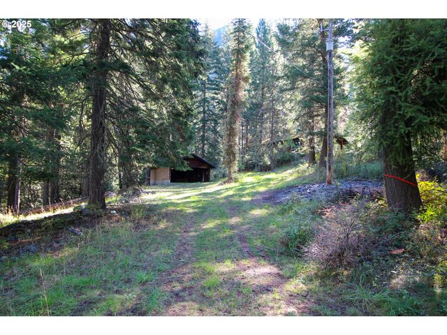 84745 BESKE Ln, Joseph, OR 97846