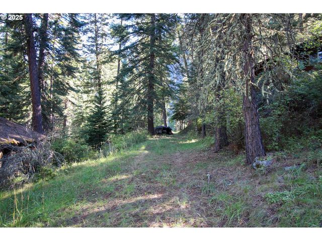 84745 BESKE Ln, Joseph, OR 97846