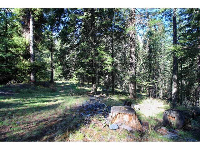 84745 BESKE Ln, Joseph, OR 97846