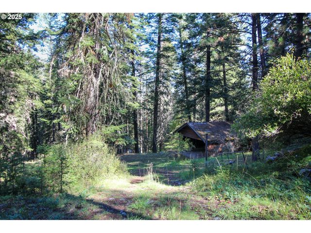 84745 BESKE Ln, Joseph, OR 97846