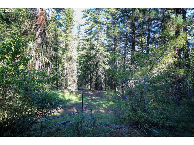 84745 BESKE Ln, Joseph, OR 97846