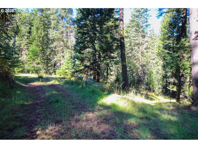 84745 BESKE Ln, Joseph, OR 97846