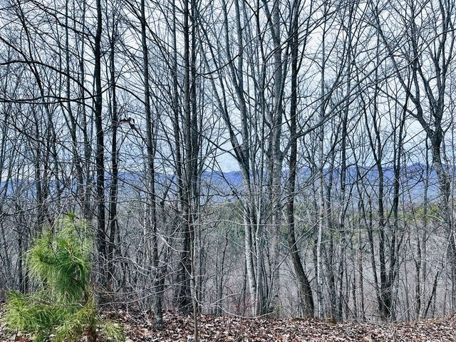 1441 Valley View Heights Lane, Andrews, NC 28901