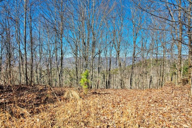 1441 Valley View Heights Lane, Andrews, NC 28901
