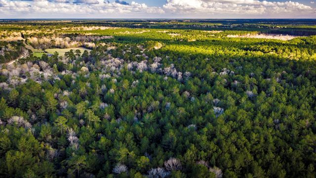 001 Holly Grove Road, Livingston, TX 77351