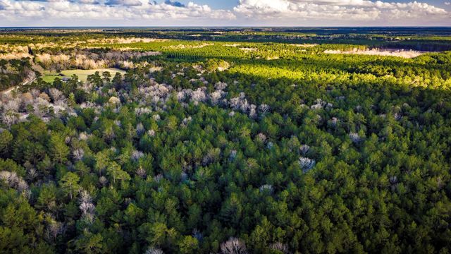001 Holly Grove Road, Livingston, TX 77351