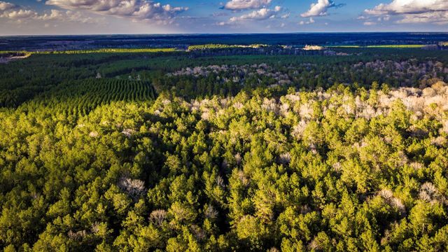 001 Holly Grove Road, Livingston, TX 77351