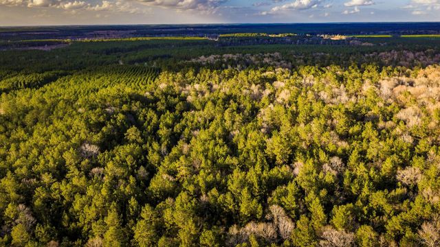 001 Holly Grove Road, Livingston, TX 77351