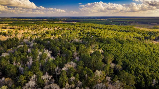 001 Holly Grove Road, Livingston, TX 77351