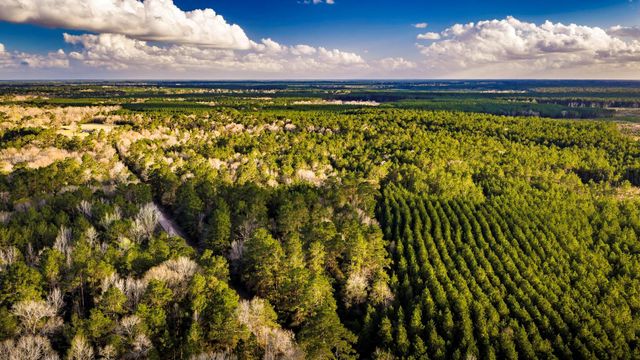 001 Holly Grove Road, Livingston, TX 77351