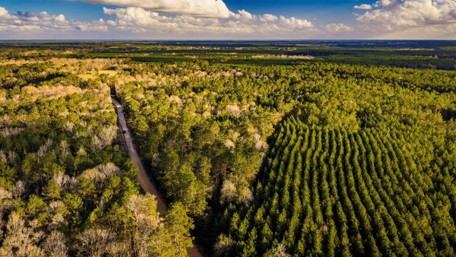 001 Holly Grove Road, Livingston, TX 77351