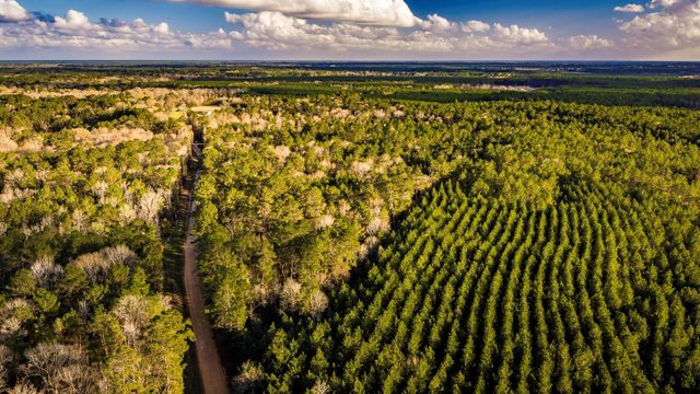 001 Holly Grove Road, Livingston, TX 77351