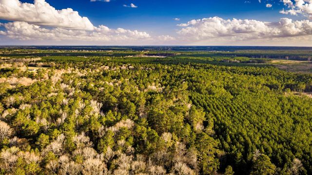 001 Holly Grove Road, Livingston, TX 77351