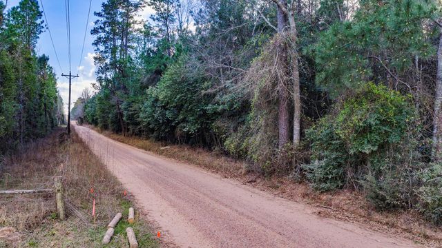 001 Holly Grove Road, Livingston, TX 77351