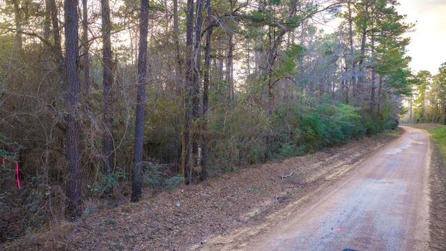 001 Holly Grove Road, Livingston, TX 77351