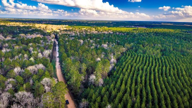 001 Holly Grove Road, Livingston, TX 77351