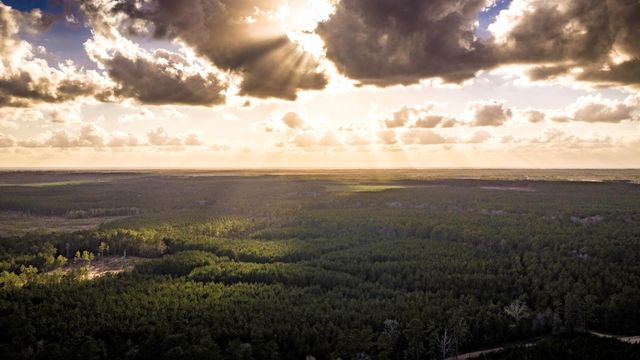 001 Holly Grove Road, Livingston, TX 77351