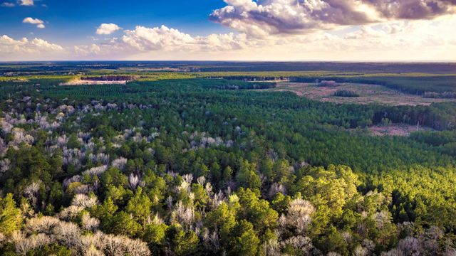 001 Holly Grove Road, Livingston, TX 77351