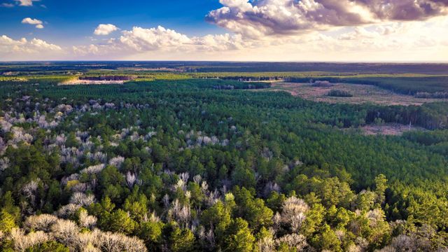 001 Holly Grove Road, Livingston, TX 77351