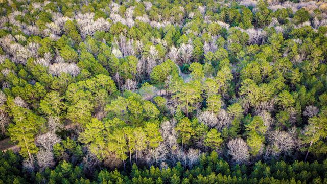 001 Holly Grove Road, Livingston, TX 77351