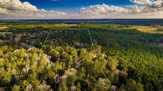 001 Holly Grove Road, Livingston, TX 77351