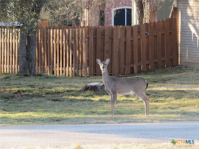 65 Bluebonnet Loop, Belton, TX 76513