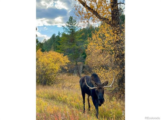 660 S Peak Road, Boulder, CO 80302