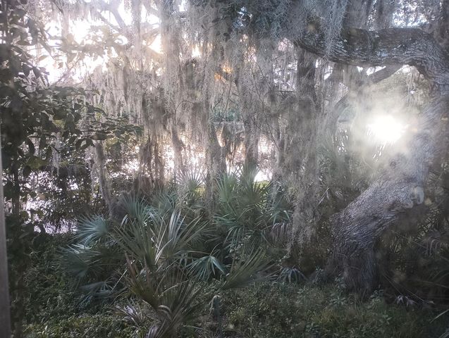 5 Quintana Roo Court, Port St. Lucie, Port St Lucie, FL 34952