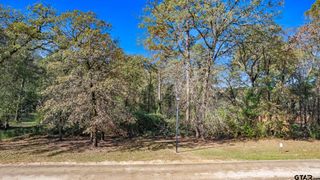 8831 Wilder Trail, Tyler, TX 75703