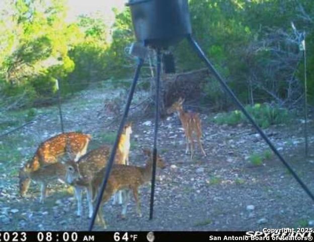 00 Newby Hills Ranch, Rocksprings, TX 78880