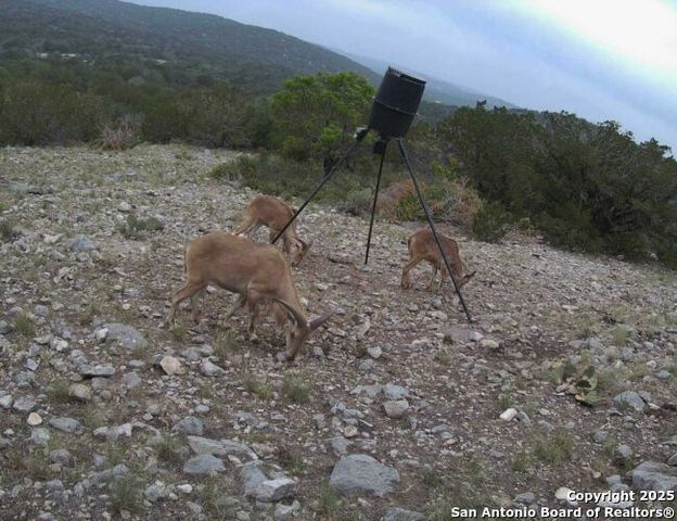 00 Newby Hills Ranch, Rocksprings, TX 78880