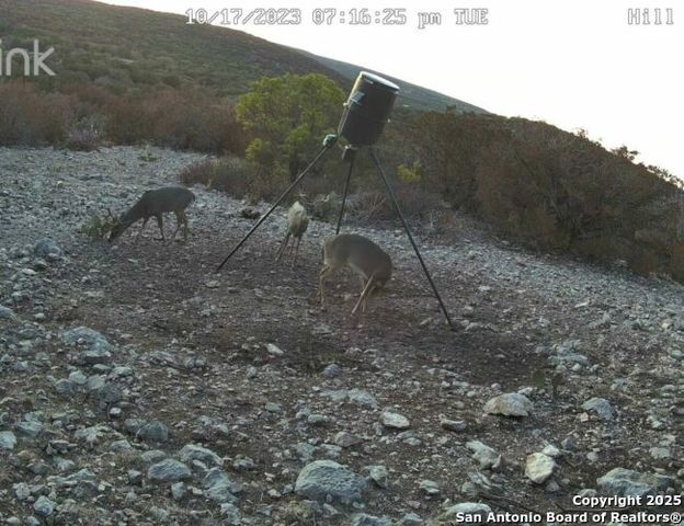 00 Newby Hills Ranch, Rocksprings, TX 78880