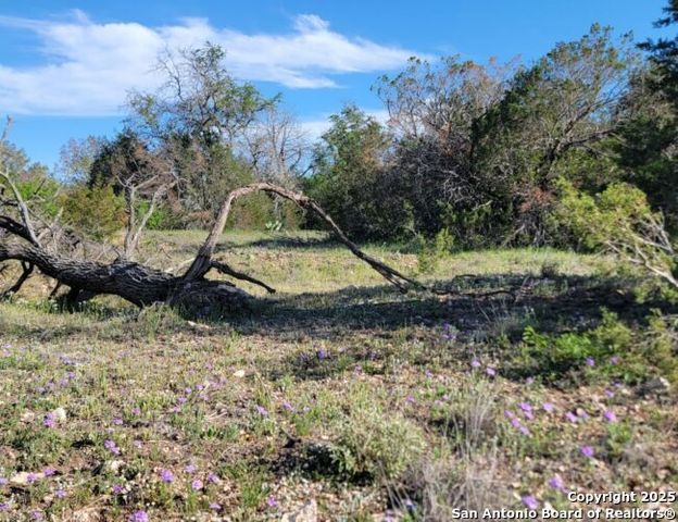 00 Newby Hills Ranch, Rocksprings, TX 78880