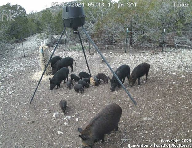 00 Newby Hills Ranch, Rocksprings, TX 78880