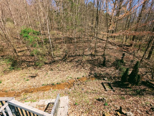 11510 Dogwood Lane, Pound, VA 24279