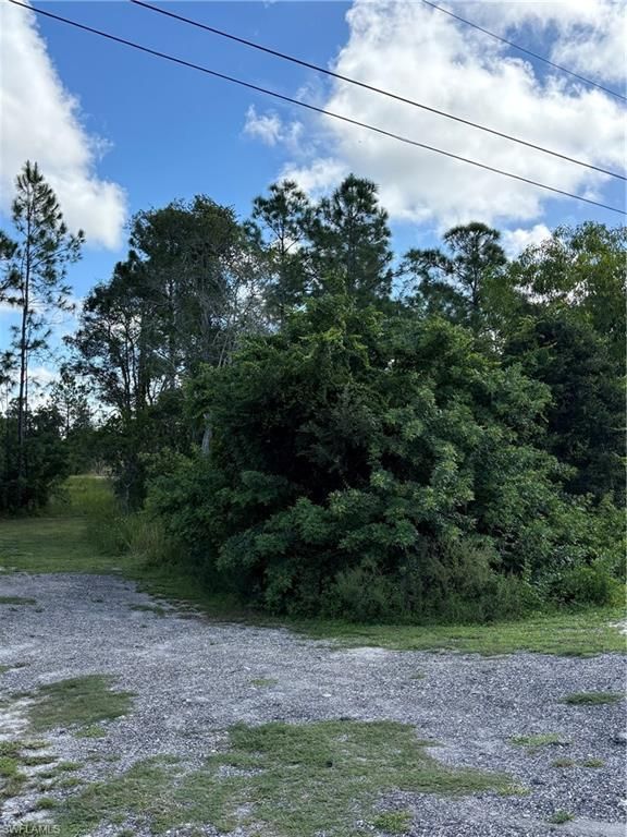 423 La Perouse ST, LEHIGH ACRES, FL 33974 — exterior