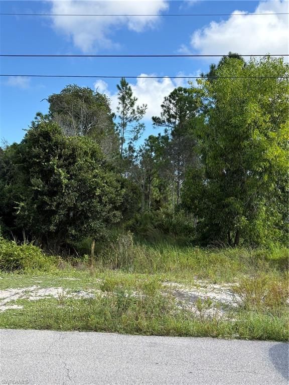 423 La Perouse ST, LEHIGH ACRES, FL 33974 — photo 2