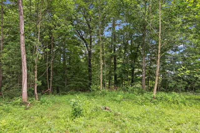 0 Black Hollow Road, Peebles, OH 45660