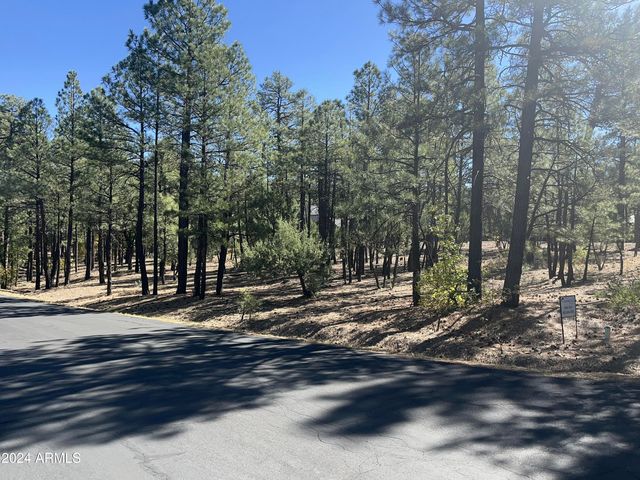 1450 S TIA Circle 78, Show Low, AZ 85901