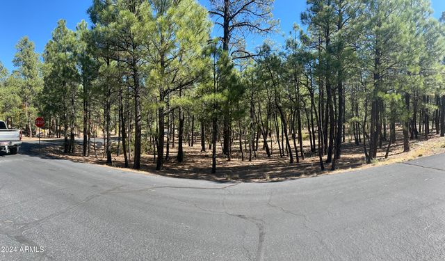 1450 S TIA Circle 78, Show Low, AZ 85901