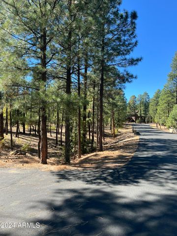 1450 S TIA Circle 78, Show Low, AZ 85901