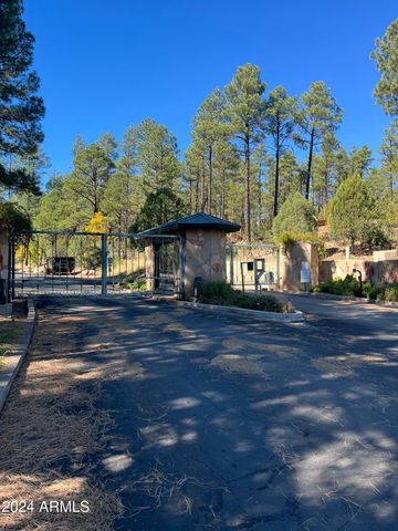 1450 S TIA Circle 78, Show Low, AZ 85901